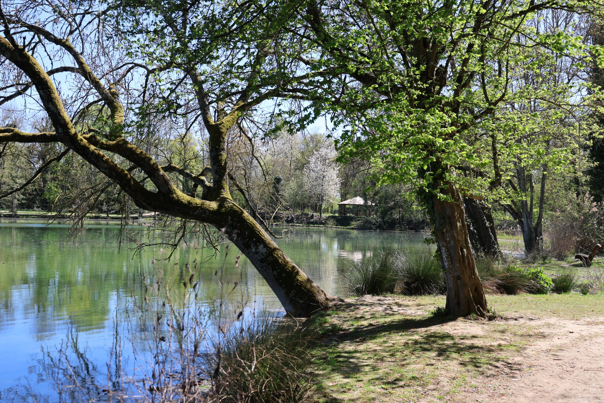 Ballastière AD (22)