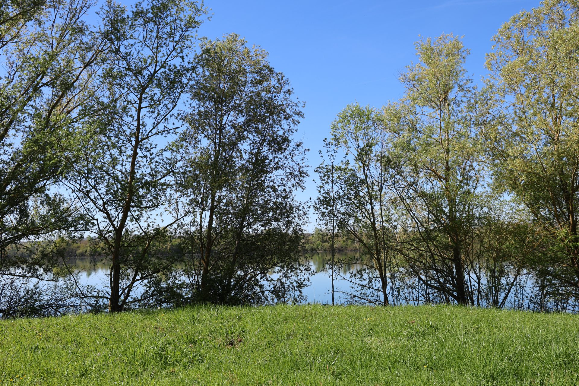 Fonds Blanchards AD (14)